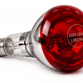 LIROMA® Infrarødlamp - Løs lampe